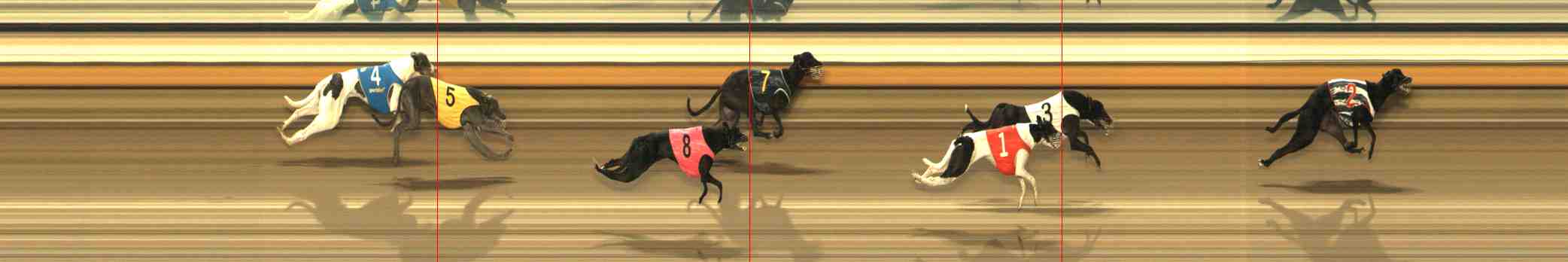 Photo finish for Warrnambool Race 2