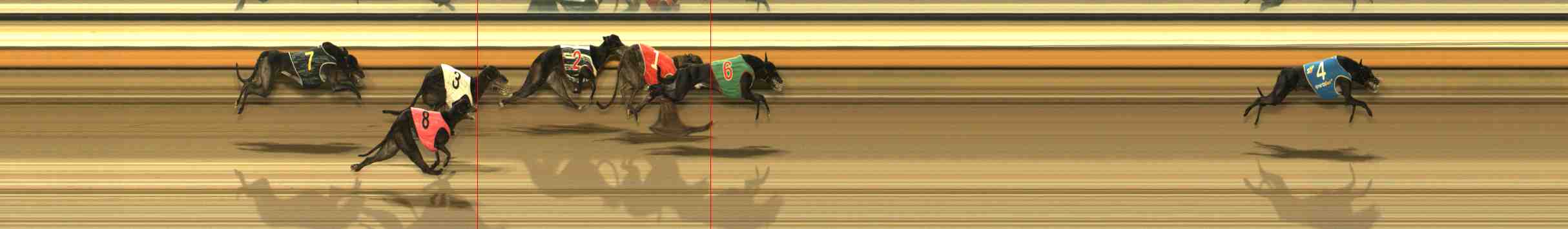 Photo finish for Warrnambool Race 3