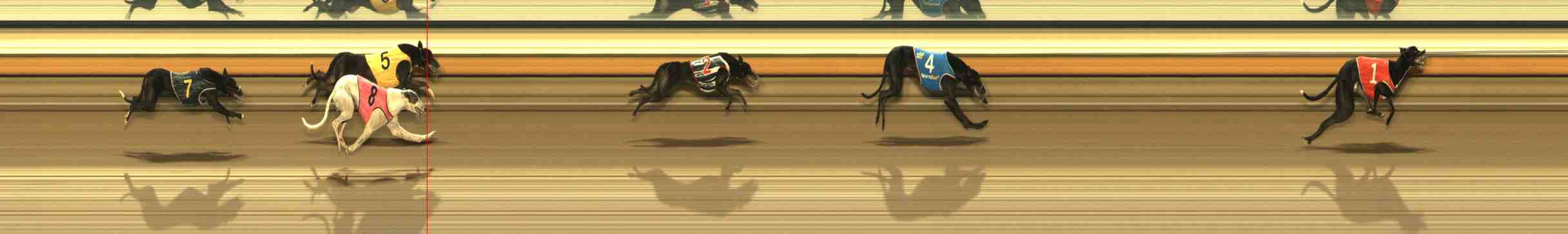 Photo finish for Warrnambool Race 4