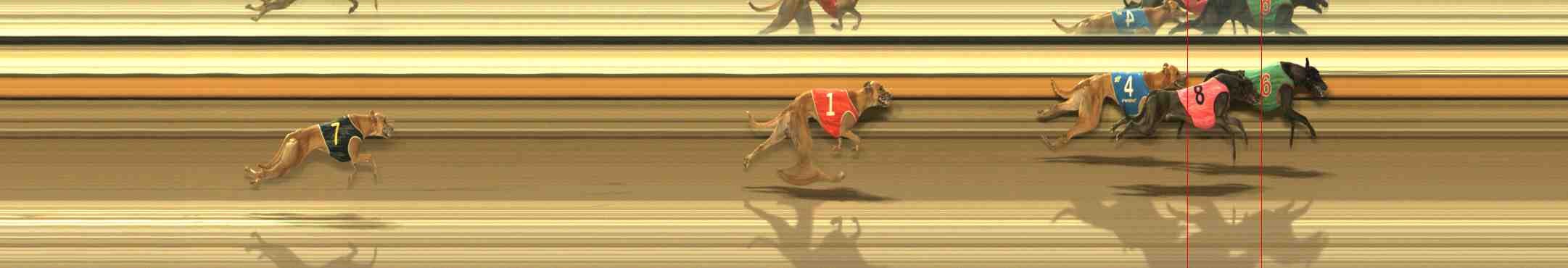 Photo finish for Warrnambool Race 5