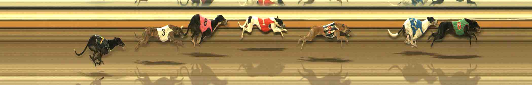 Photo finish for Warrnambool Race 6