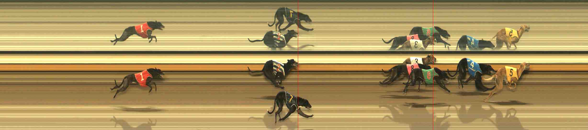 Photo finish for Warrnambool Race 7