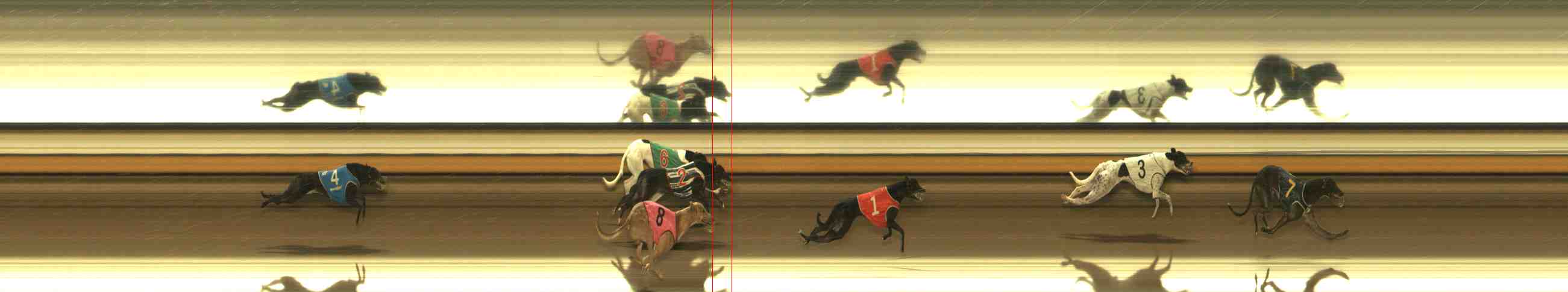Photo finish for Warrnambool Race 9