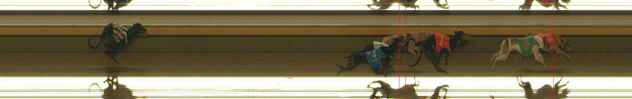 Photo finish for Warrnambool Race 12