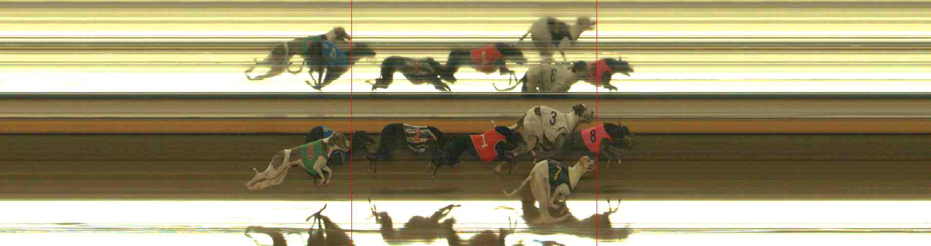 Photo finish for Warrnambool Race 13