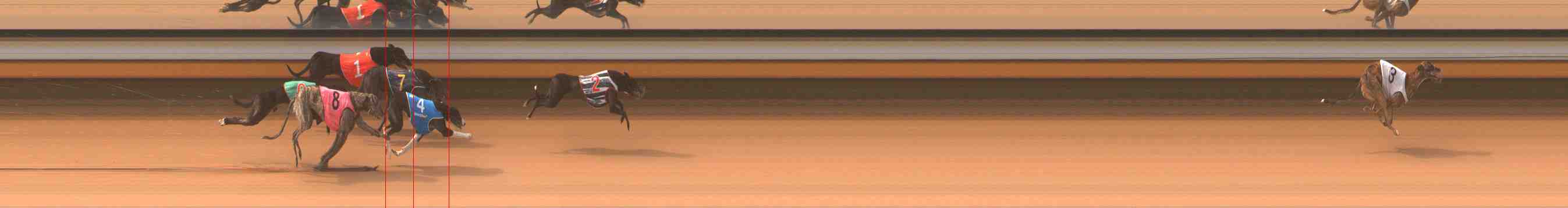 Photo finish for Warrnambool Race 1