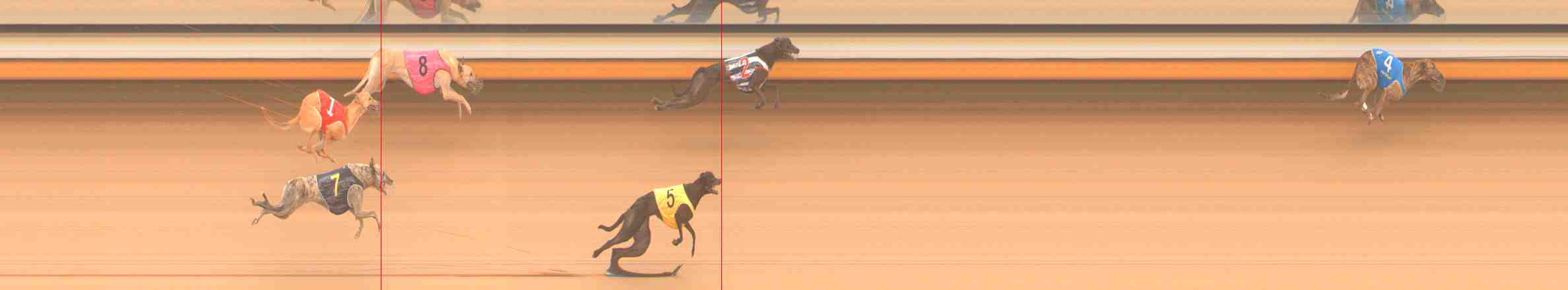 Photo finish for Warrnambool Race 2