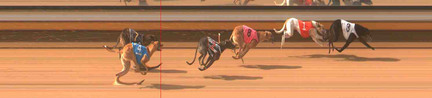 Photo finish for Warrnambool Race 4