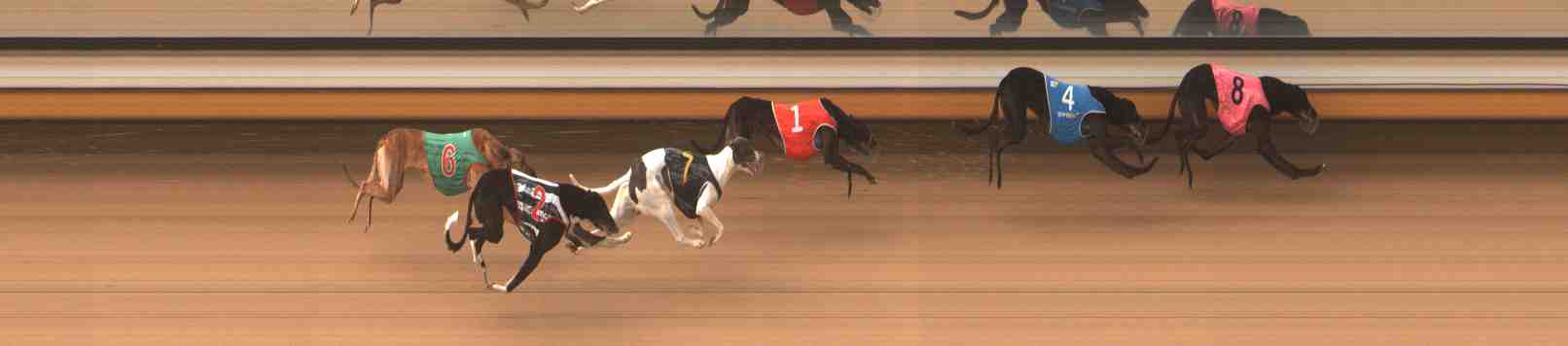 Photo finish for Warrnambool Race 5
