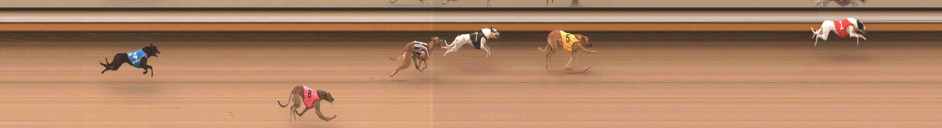 Photo finish for Warrnambool Race 6