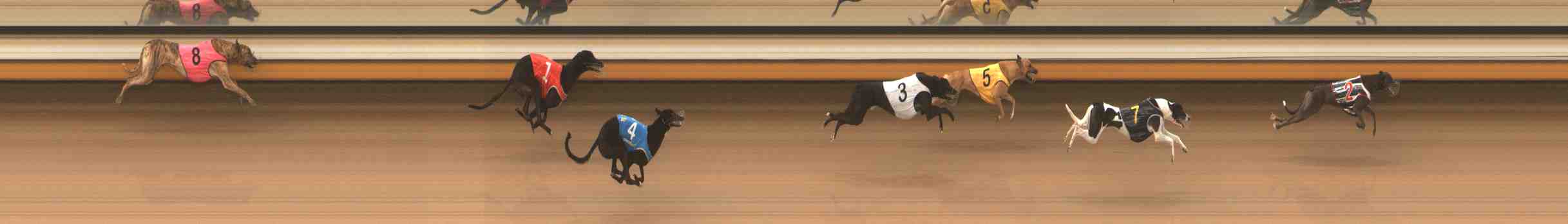 Photo finish for Warrnambool Race 7