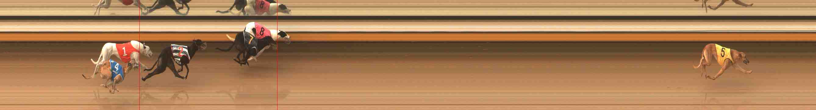 Photo finish for Warrnambool Race 8