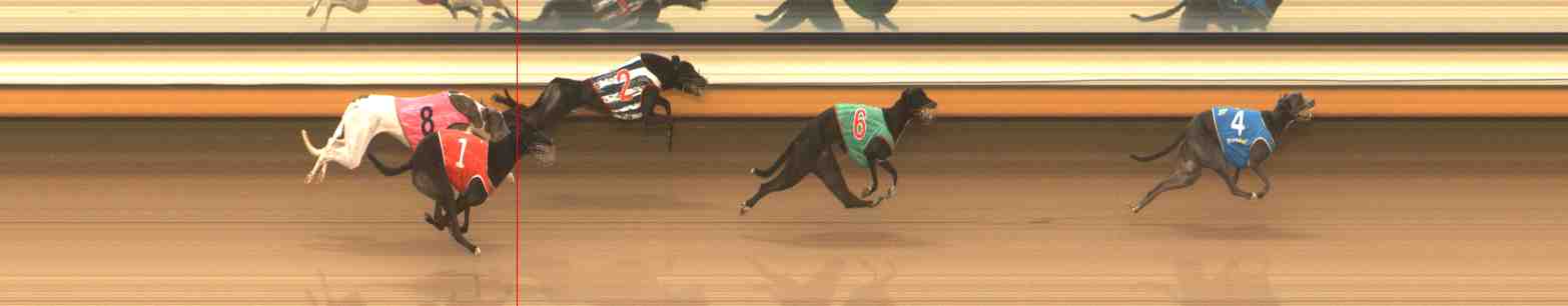 Photo finish for Warrnambool Race 9