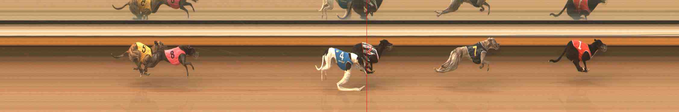 Photo finish for Warrnambool Race 10