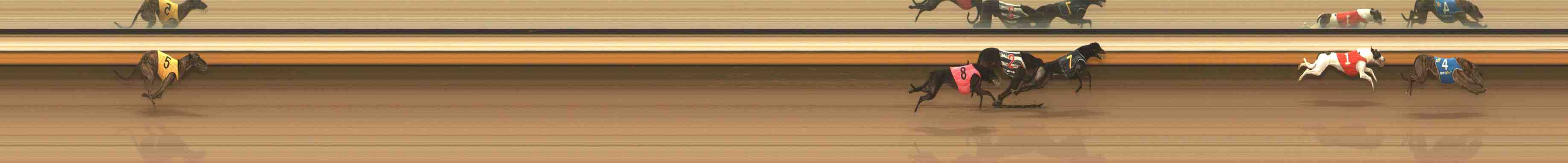 Photo finish for Warrnambool Race 11