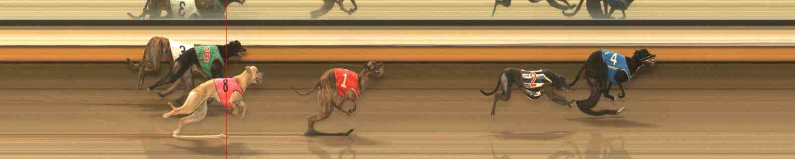 Photo finish for Warrnambool Race 12