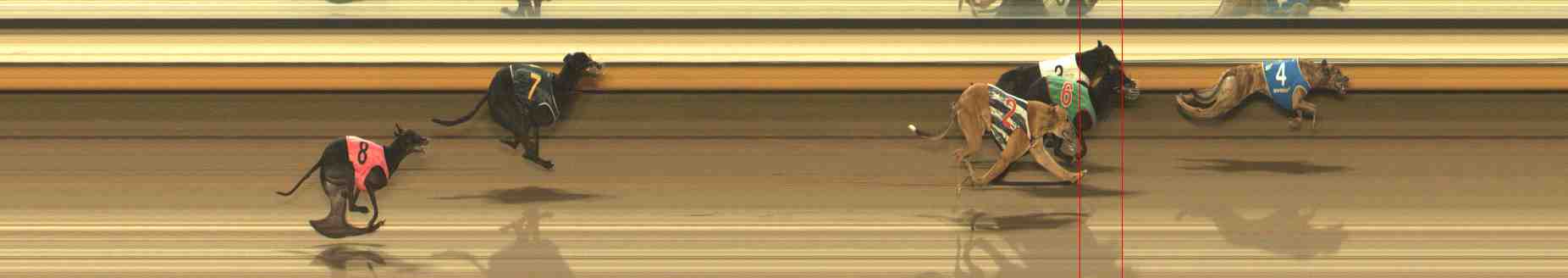 Photo finish for Warrnambool Race 13