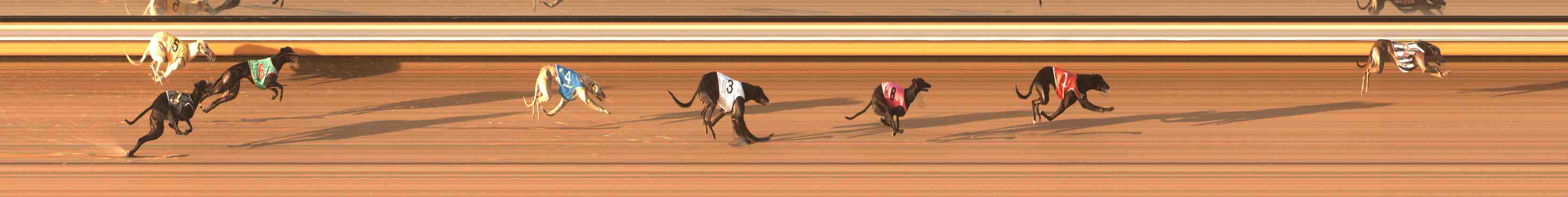 Photo finish for Warrnambool Race 1