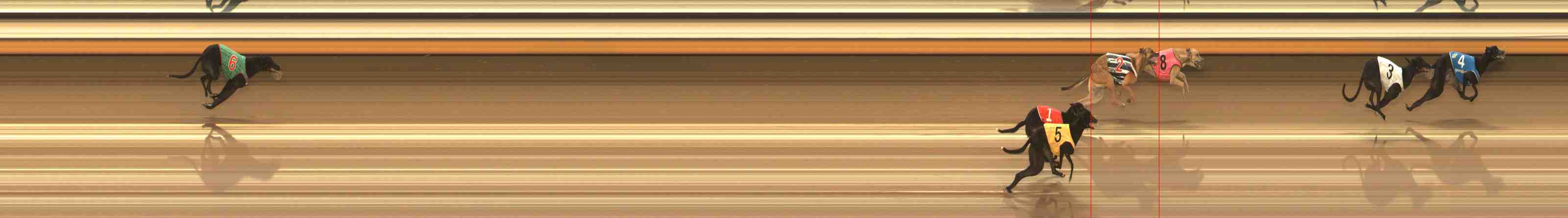 Photo finish for Warrnambool Race 2