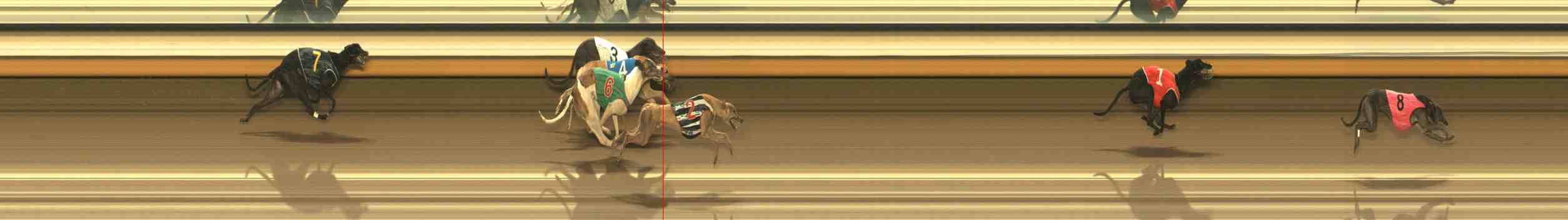 Photo finish for Warrnambool Race 3