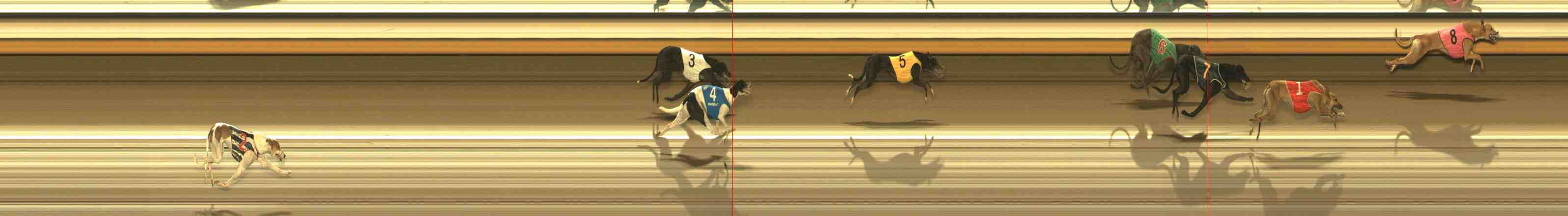 Photo finish for Warrnambool Race 4