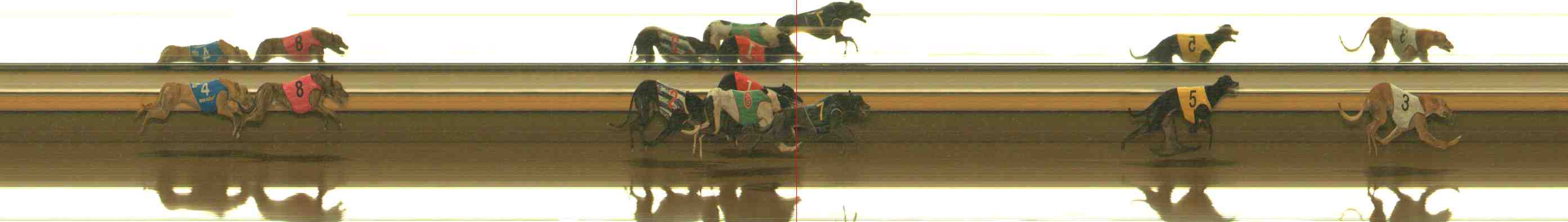 Photo finish for Warrnambool Race 5