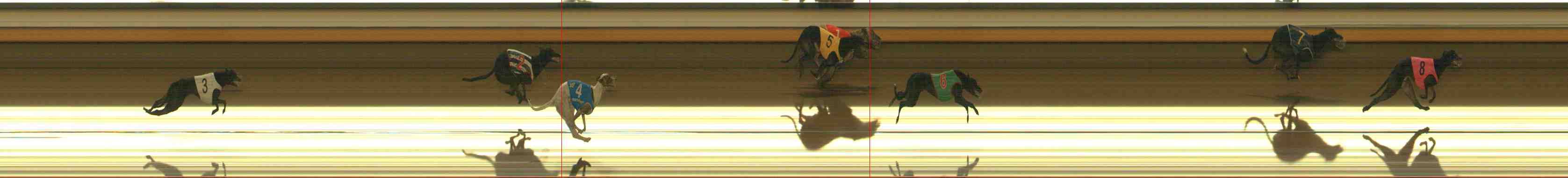 Photo finish for Warrnambool Race 6