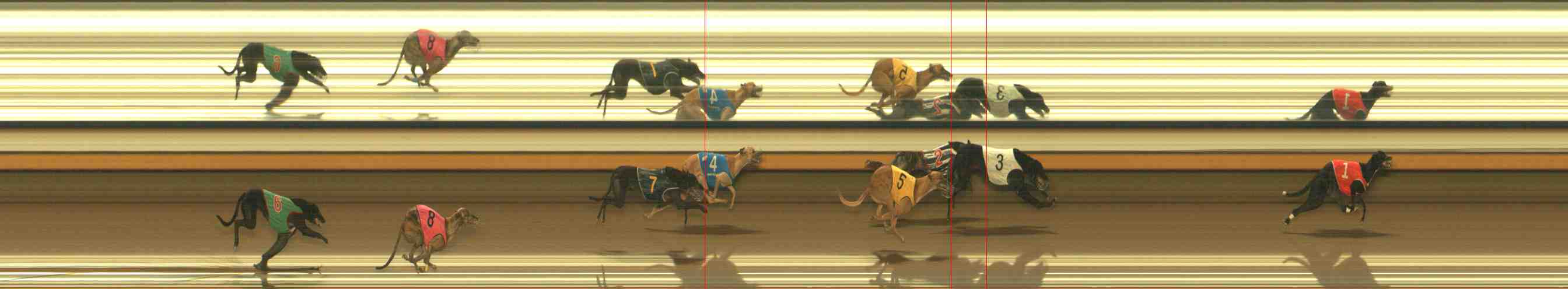 Photo finish for Warrnambool Race 7