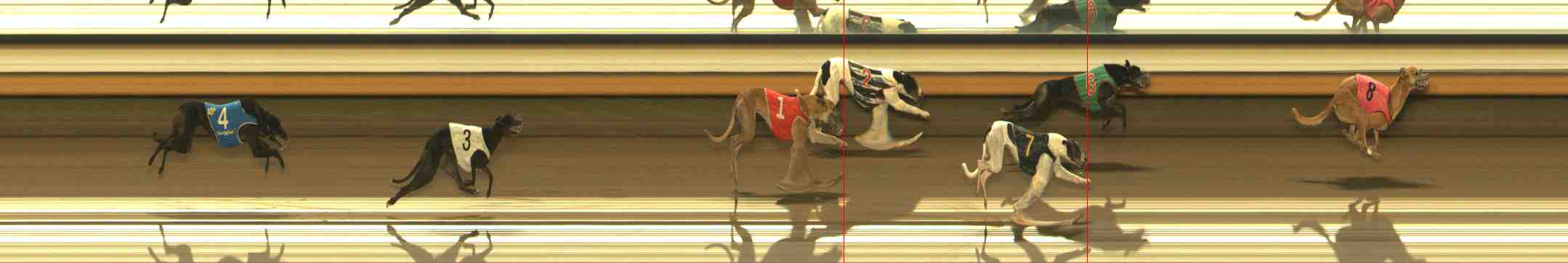 Photo finish for Warrnambool Race 9