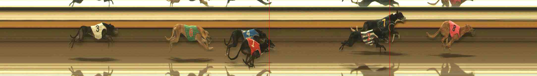 Photo finish for Warrnambool Race 10