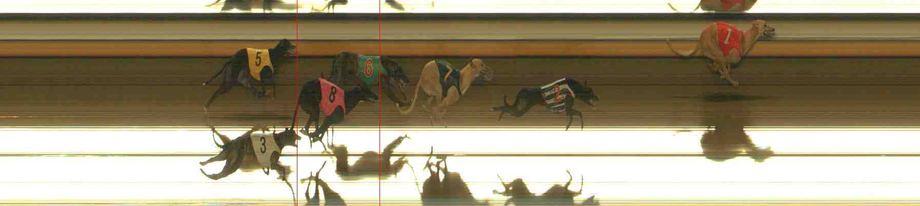 Photo finish for Warrnambool Race 12