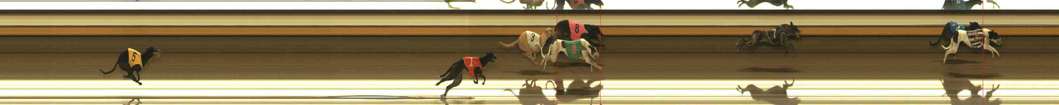 Photo finish for Warrnambool Race 13