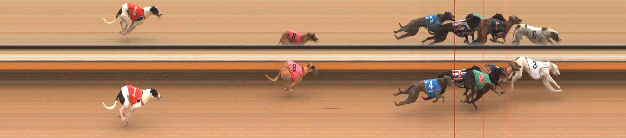 Photo finish for Warrnambool Race 1