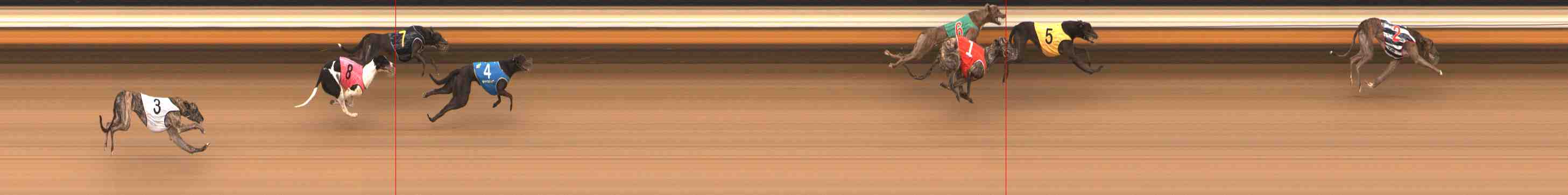 Photo finish for Warrnambool Race 2