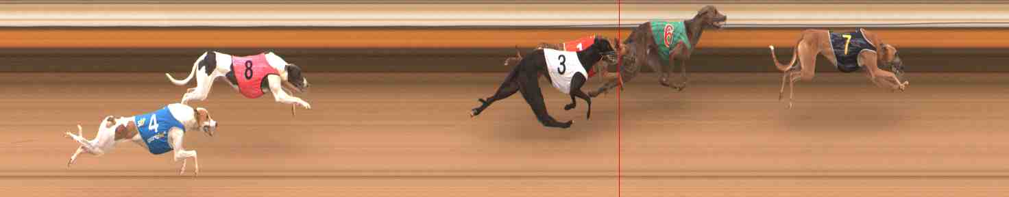 Photo finish for Warrnambool Race 4