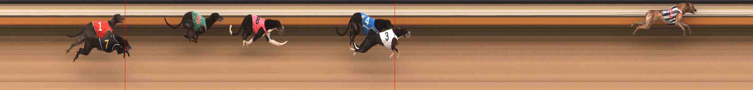 Photo finish for Warrnambool Race 5