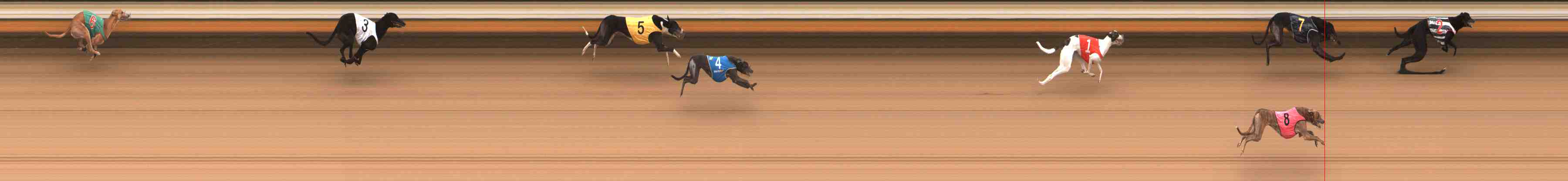 Photo finish for Warrnambool Race 6