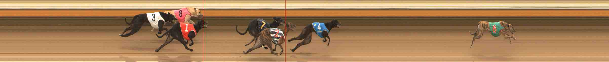 Photo finish for Warrnambool Race 7