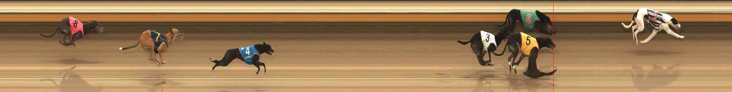 Photo finish for Warrnambool Race 8