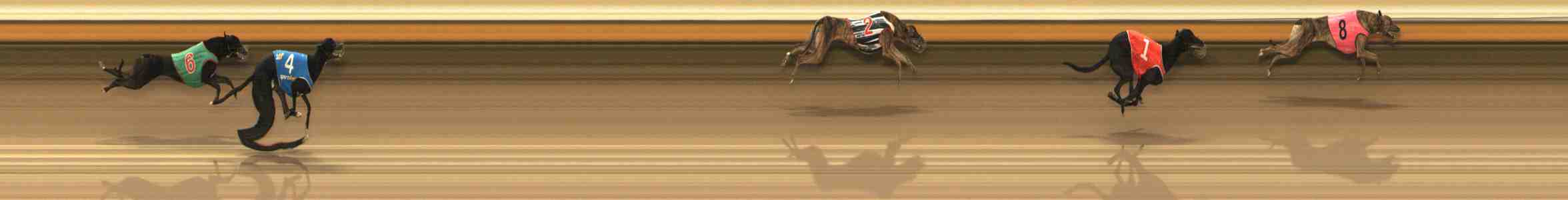 Photo finish for Warrnambool Race 9