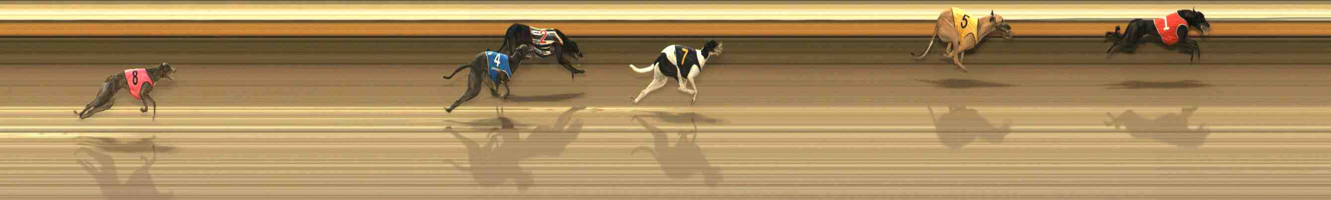 Photo finish for Warrnambool Race 10