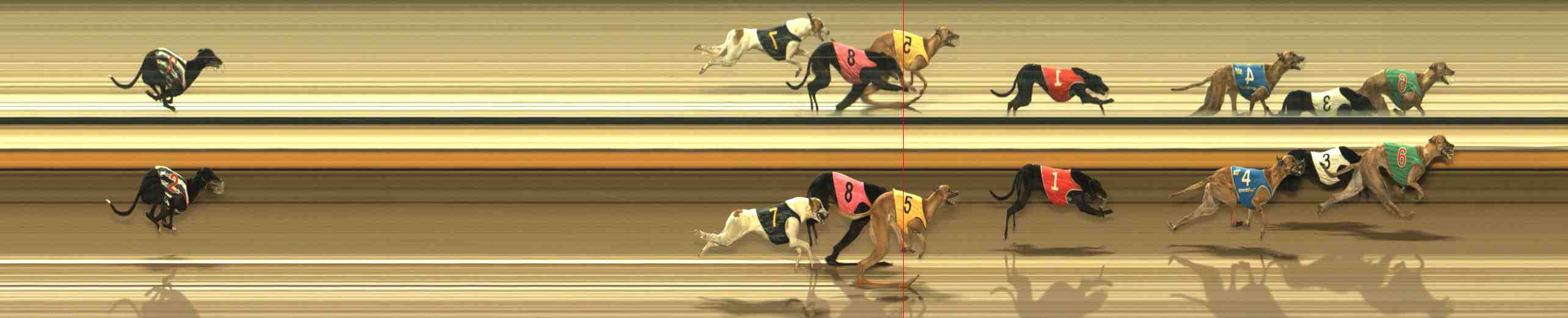 Photo finish for Warrnambool Race 11