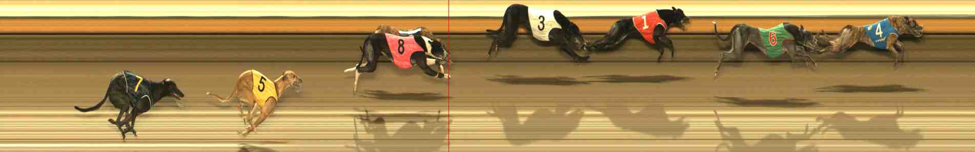 Photo finish for Warrnambool Race 12