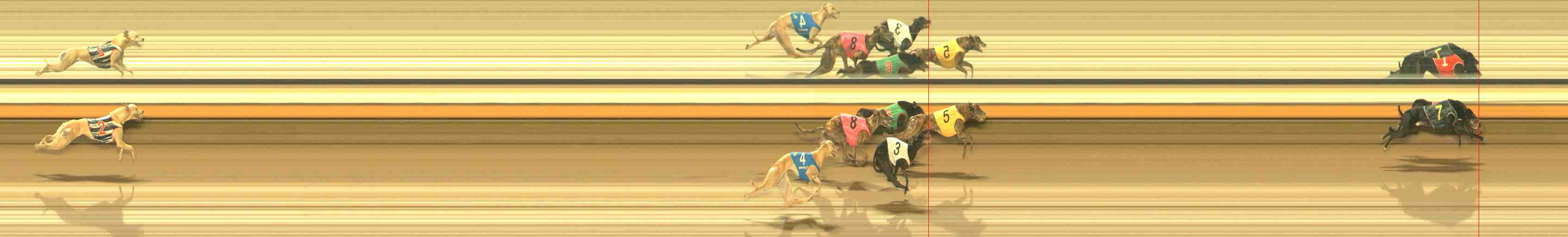 Photo finish for Warrnambool Race 13