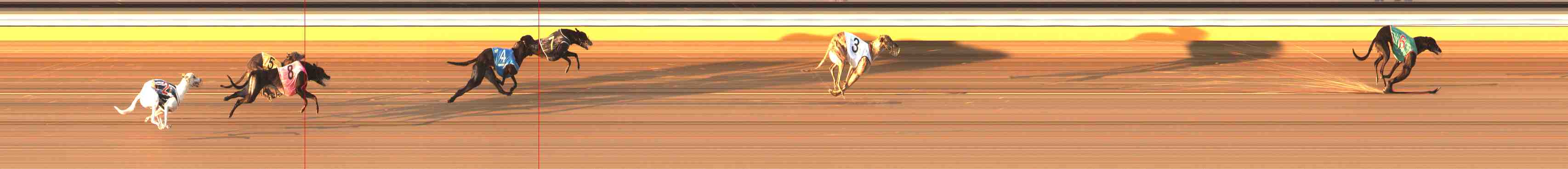 Photo finish for Warrnambool Race 1