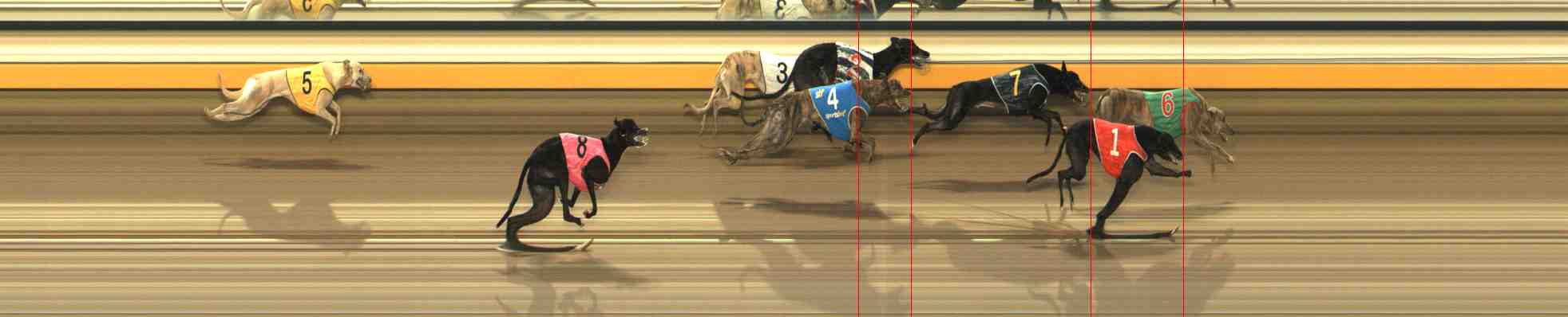 Photo finish for Warrnambool Race 2