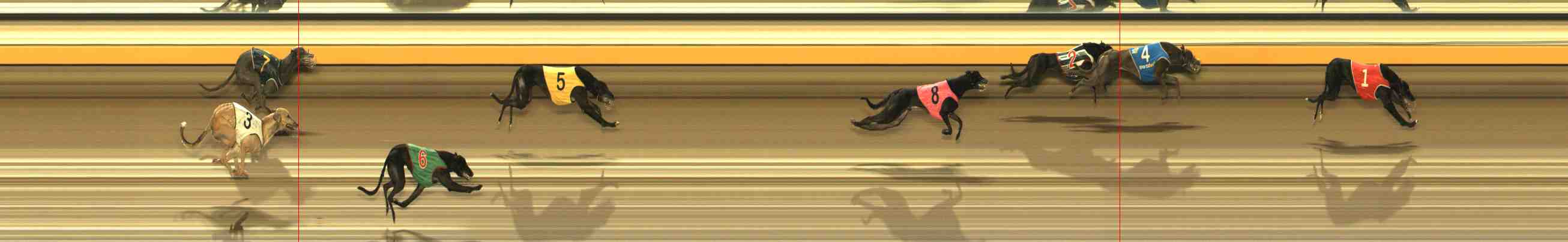 Photo finish for Warrnambool Race 3