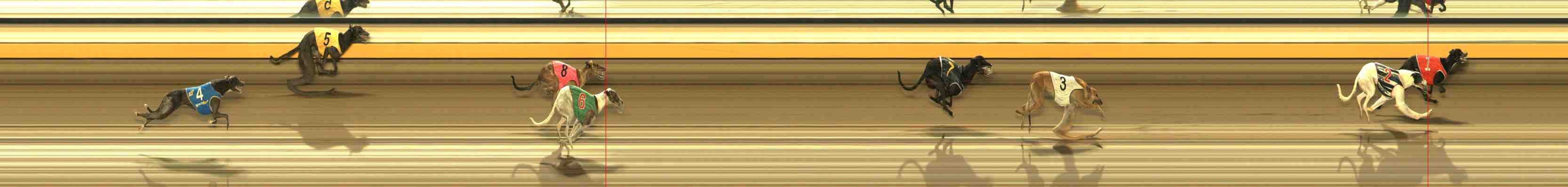 Photo finish for Warrnambool Race 4