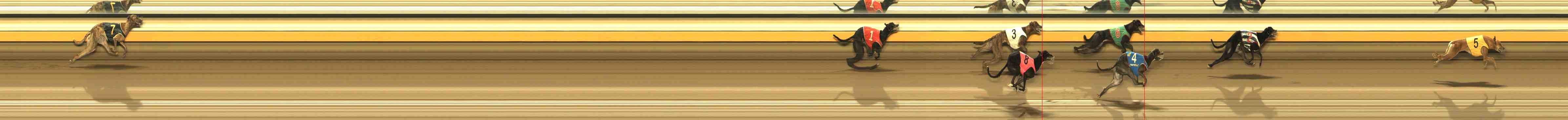 Photo finish for Warrnambool Race 5