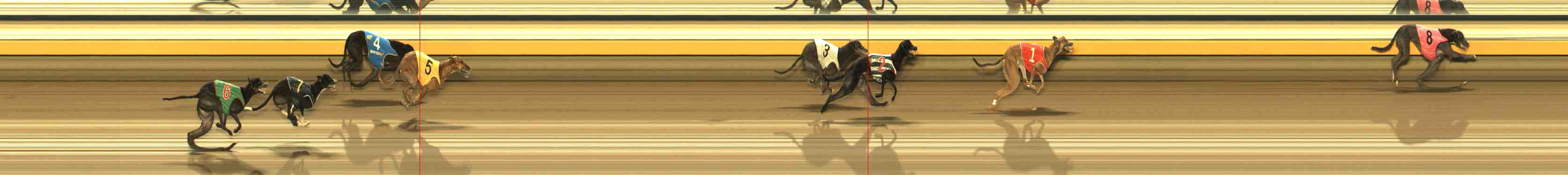 Photo finish for Warrnambool Race 6